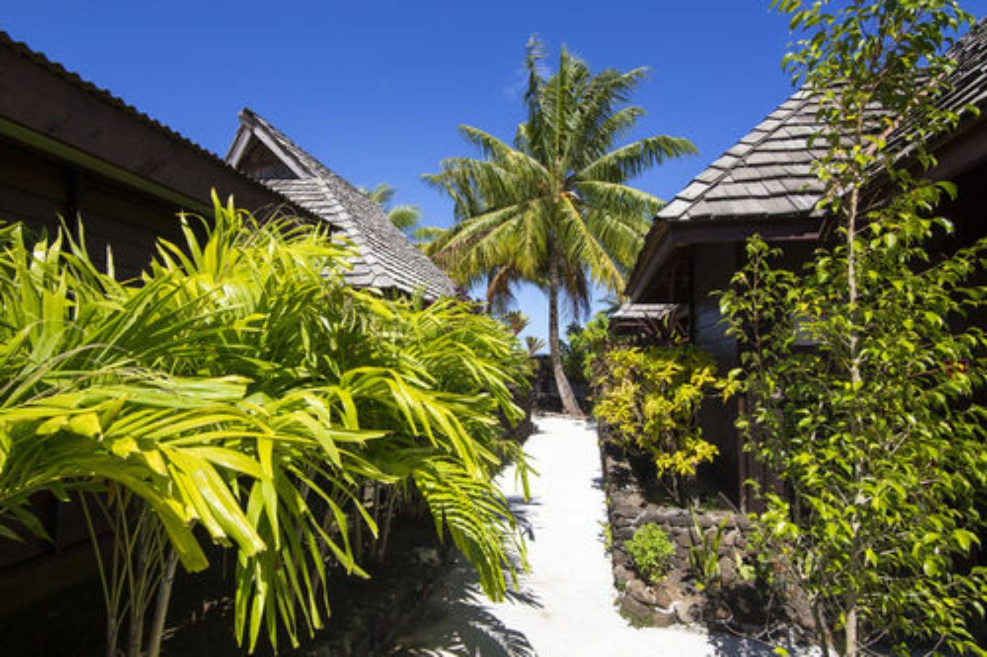 Oa Oa Lodge Bora Bora Eksteriør billede