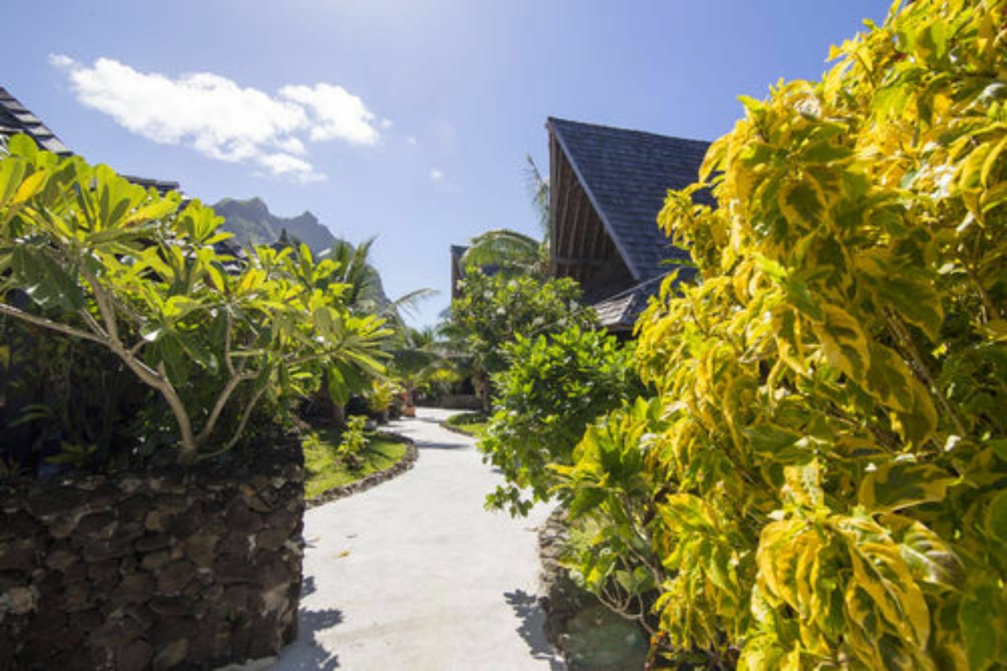 Oa Oa Lodge Bora Bora Eksteriør billede