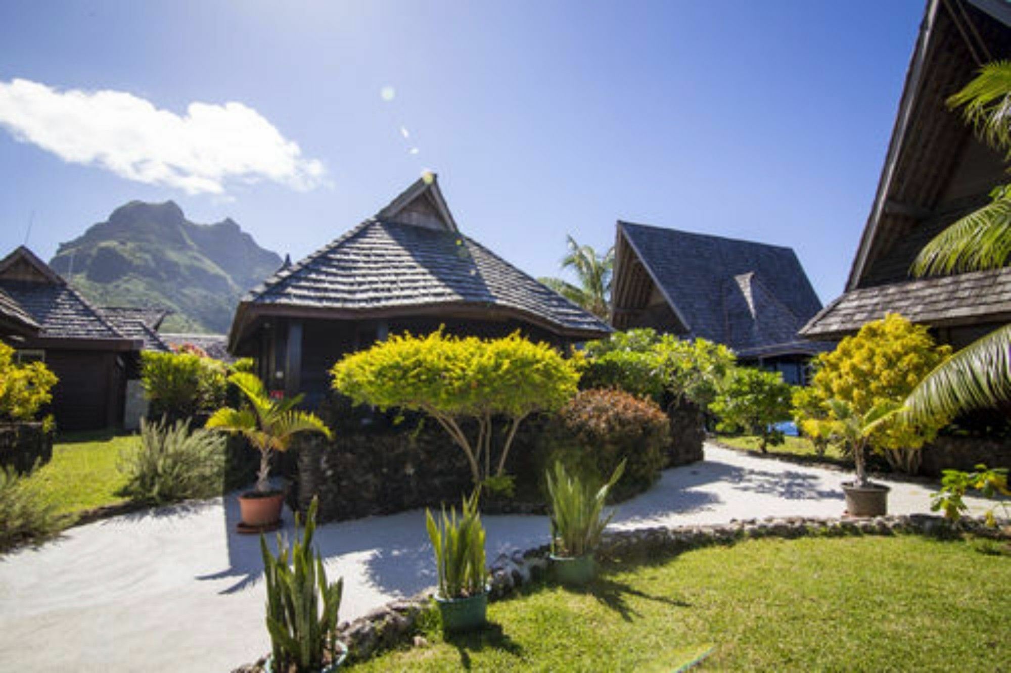 Oa Oa Lodge Bora Bora Eksteriør billede