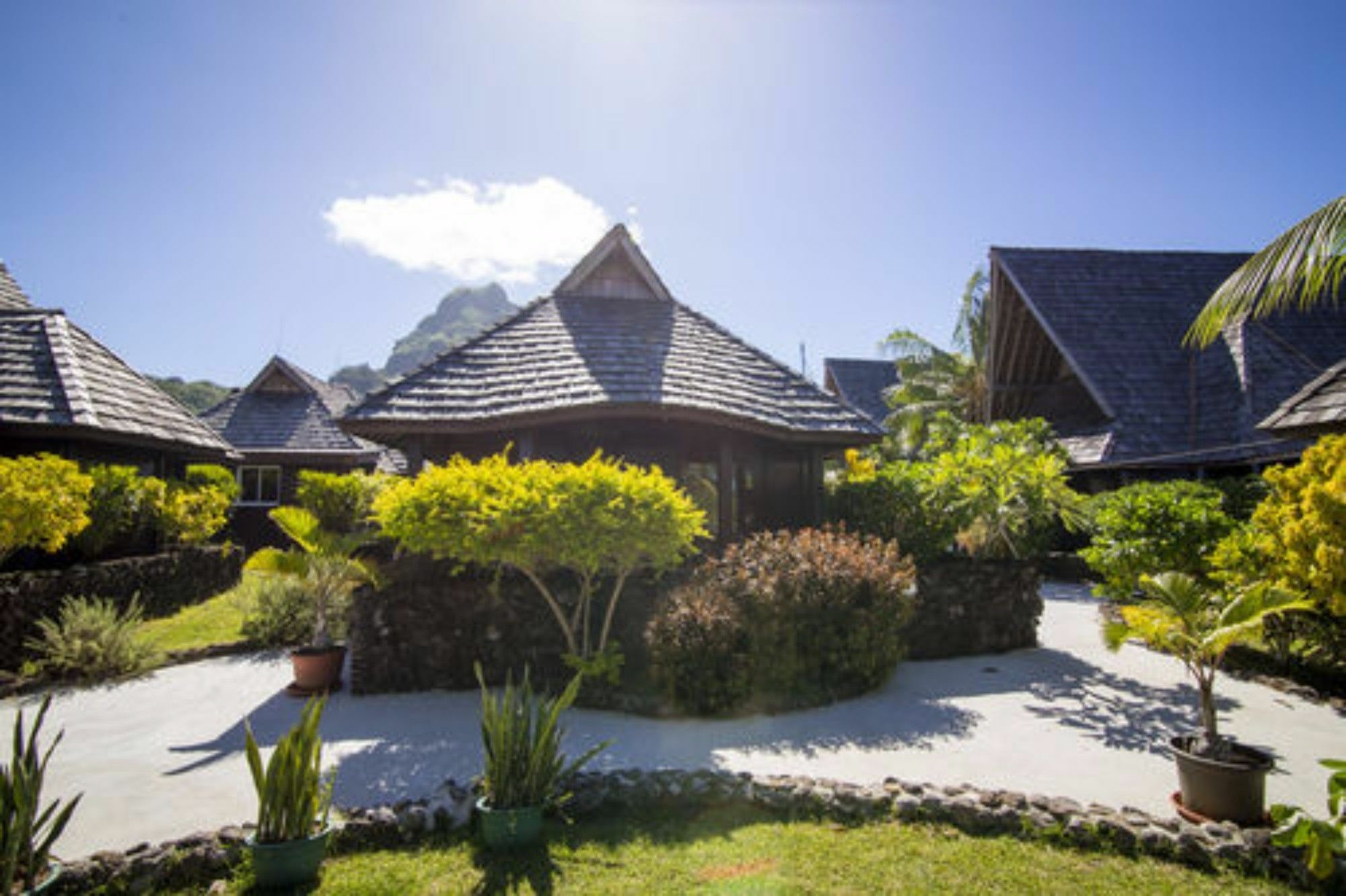 Oa Oa Lodge Bora Bora Eksteriør billede