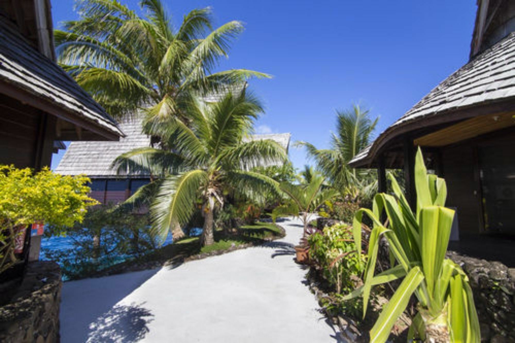 Oa Oa Lodge Bora Bora Eksteriør billede