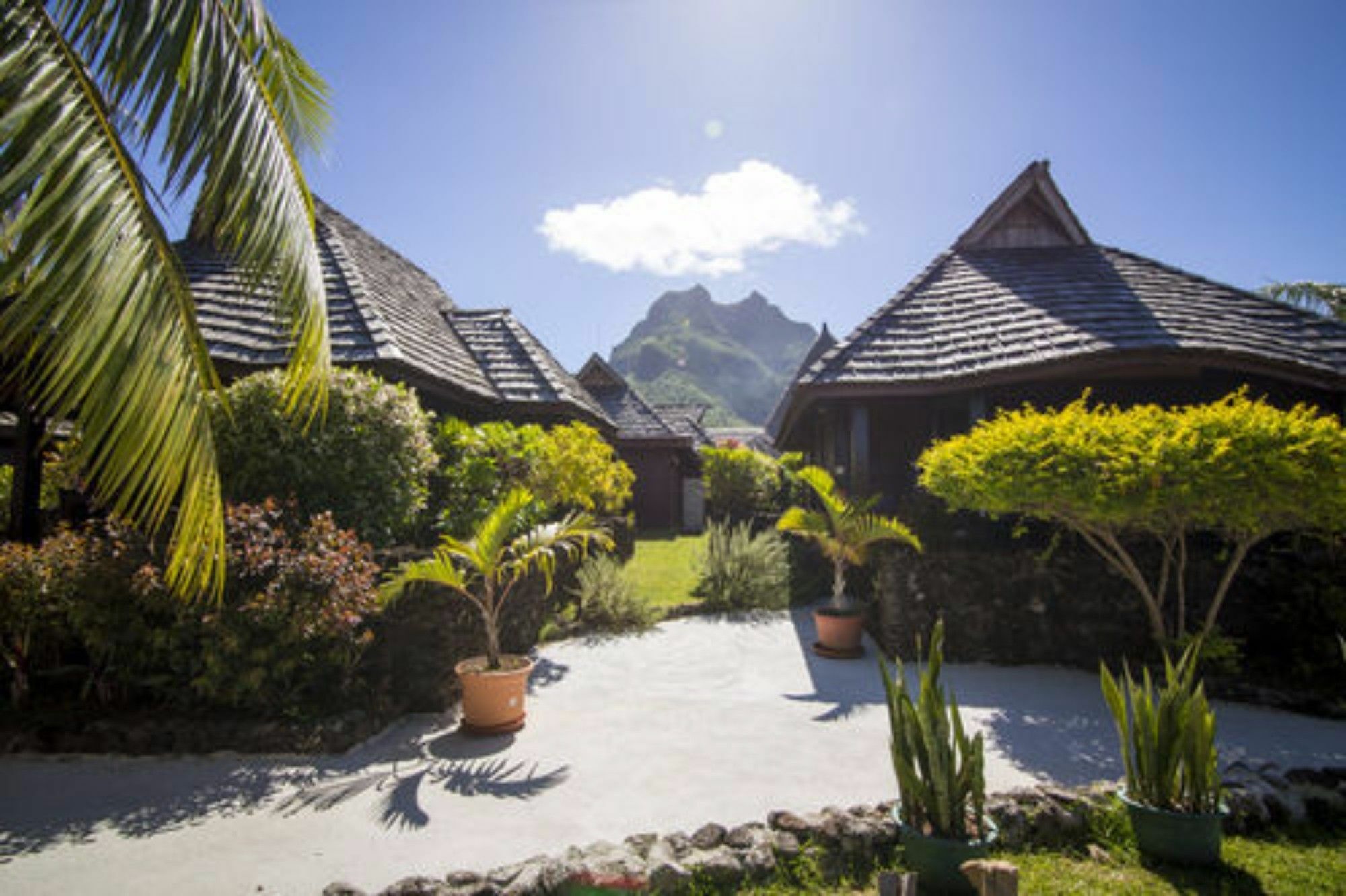 Oa Oa Lodge Bora Bora Eksteriør billede